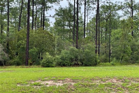 Land in Deltona, Florida № 2104046 - photo 6