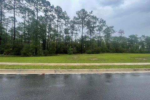 Land in Deltona, Florida № 2104046 - photo 2