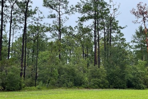 Land in Deltona, Florida № 2104046 - photo 5