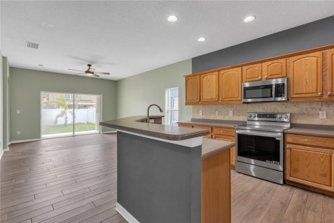 House in Land O' Lakes, Florida 4 bedrooms, 174.1 sq.m. № 1659145 - photo 23