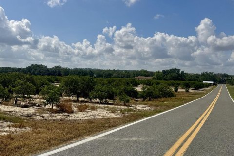 Terreno en venta en Babson Park, Florida № 2217954 - foto 3