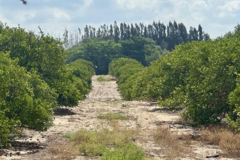 Terreno en Babson Park, Florida № 2217954