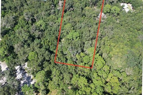 Terrain à Lake Helen, Floride № 2431023