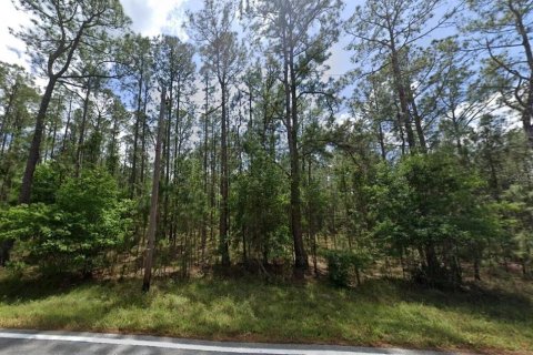 Land in Polk City, Florida № 2215101 - photo 3