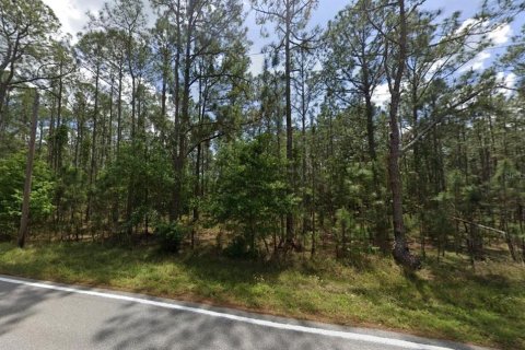 Land in Polk City, Florida № 2215101