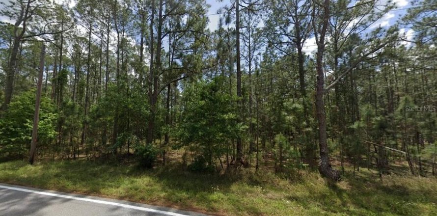 Land in Polk City, Florida № 2215101