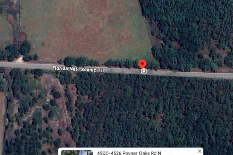 Land in Polk City, Florida № 2215101 - photo 4