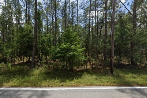 Land in Polk City, Florida № 2215101 - photo 2