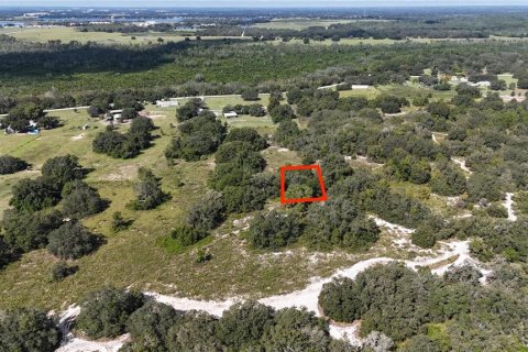 Land in Polk City, Florida № 2164353 - photo 6