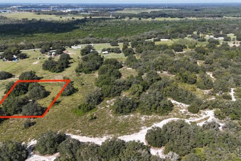 Land in Polk City, Florida № 2164353