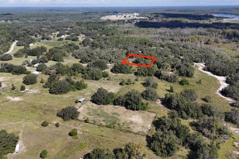 Land in Polk City, Florida № 2164353 - photo 7