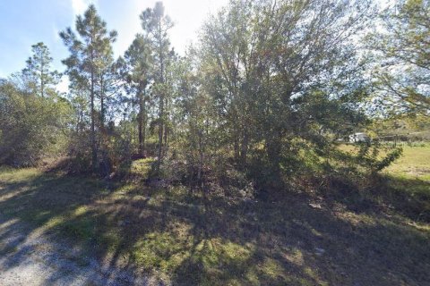 Land in Indian lake estates, Florida № 2165372