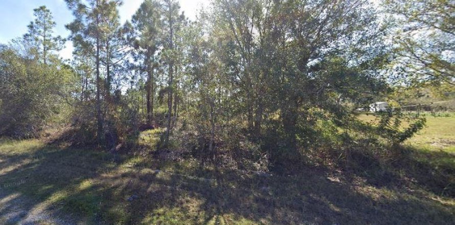 Land in Indian lake estates, Florida № 2165372