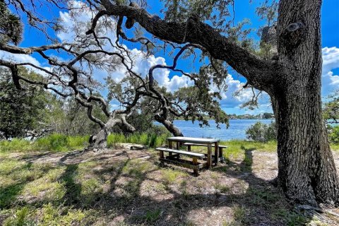 House in Tarpon Springs, Florida 5 bedrooms, 193.7 sq.m. № 2233557 - photo 23