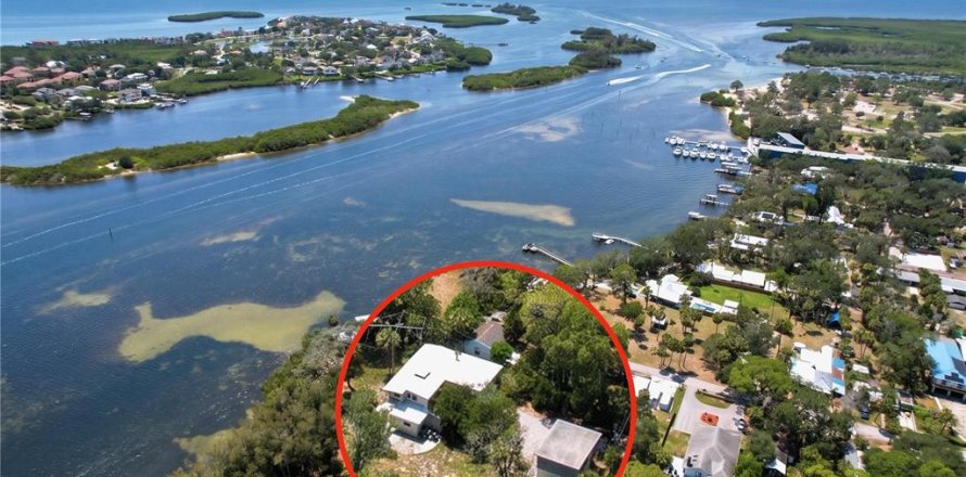 House in Tarpon Springs, Florida 5 bedrooms, 193.7 sq.m. № 2233557