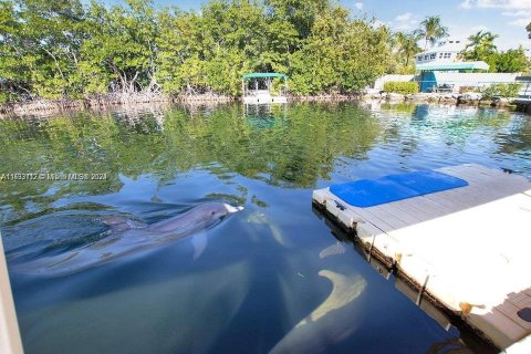 Hotel en venta en Key Largo, Florida № 1607093 - foto 19