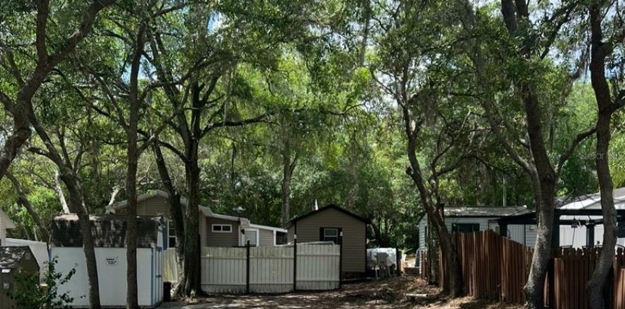 Land in Apopka, Florida № 1447748