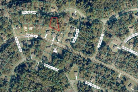Land in Ocklawaha, Florida № 2387326