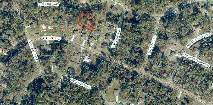 Land in Ocklawaha, Florida № 2387326