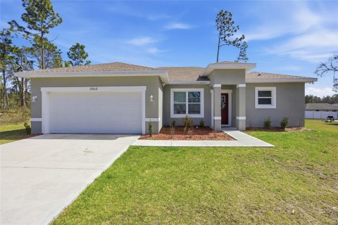 Villa ou maison à Ocala, Floride 4 chambres, 153.2 m2 № 2093826