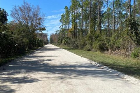 Land in Lehigh Acres, Florida № 2162335 - photo 4