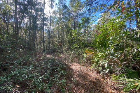 Land in Lehigh Acres, Florida № 2162335 - photo 5