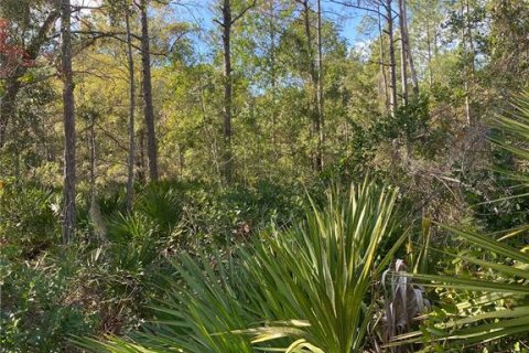 Land in Lehigh Acres, Florida № 2162335 - photo 3