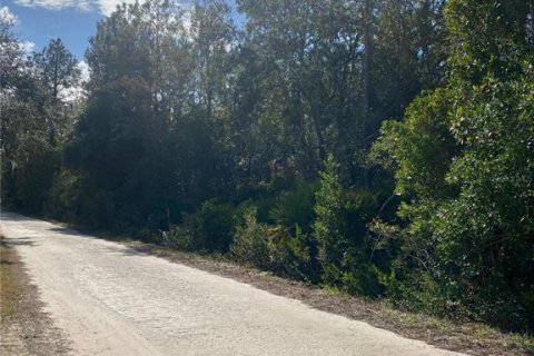 Land in Lehigh Acres, Florida № 2162335 - photo 2