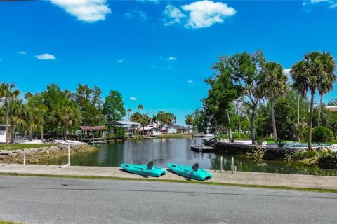 House in Crystal River, Florida 3 bedrooms, 343.27 sq.m. № 2151337 - photo 4