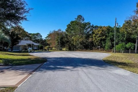 Terreno en venta en Spring Hill, Florida № 1908351 - foto 4