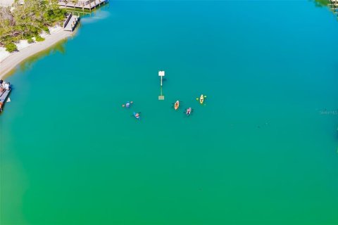 Immobilier commercial à vendre à Sarasota, Floride: 567.63 m2 № 2266567 - photo 13