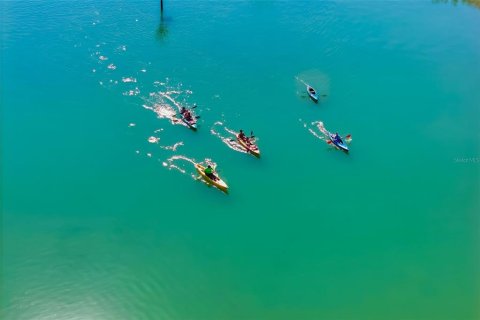Immobilier commercial à vendre à Sarasota, Floride: 567.63 m2 № 2266567 - photo 14
