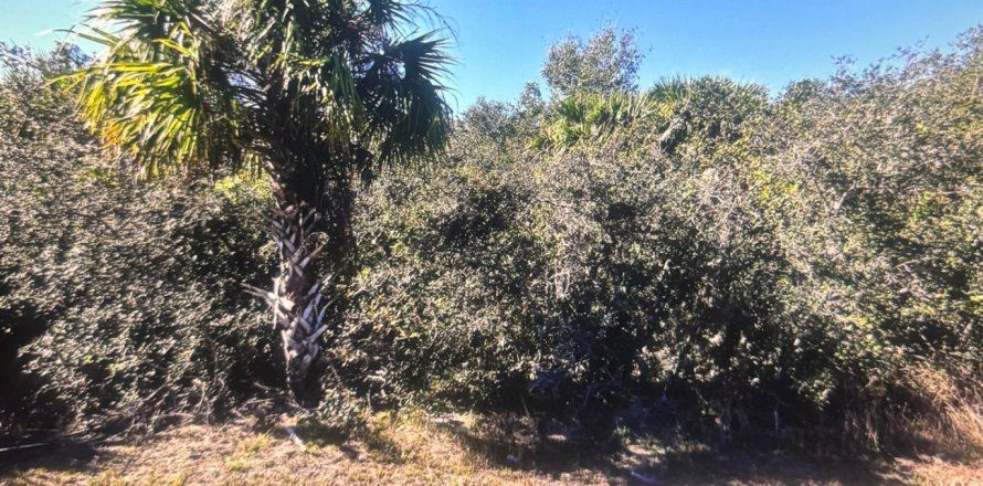 Commercial property in St. Lucie, Florida № 2083029