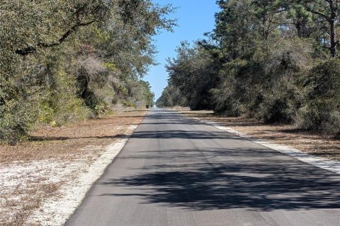 Land in Indian lake estates, Florida № 2161930 - photo 2