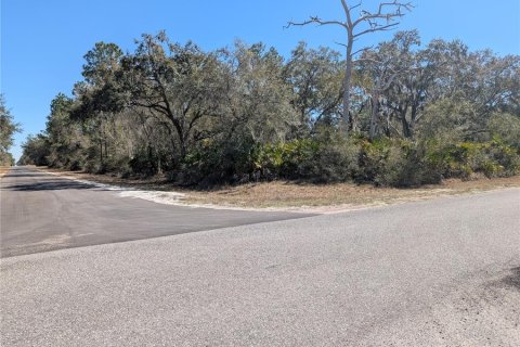 Land in Indian lake estates, Florida № 2161930 - photo 3
