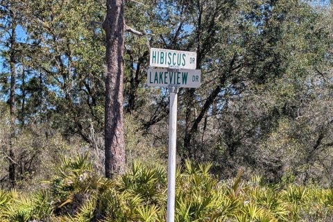 Land in Indian lake estates, Florida № 2161930