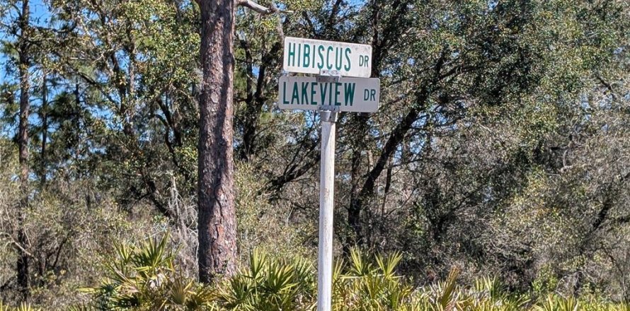 Land in Indian lake estates, Florida № 2161930