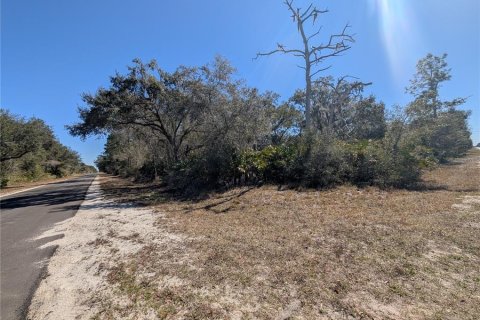 Land in Indian lake estates, Florida № 2161930 - photo 8