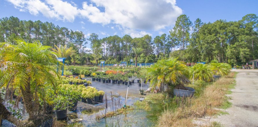 Land in Saint Augustine, Florida № 765693
