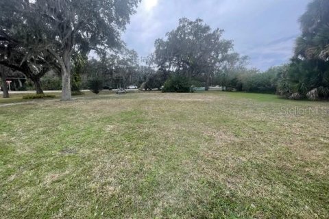 Terrain à vendre à New Smyrna Beach, Floride № 2143975 - photo 6