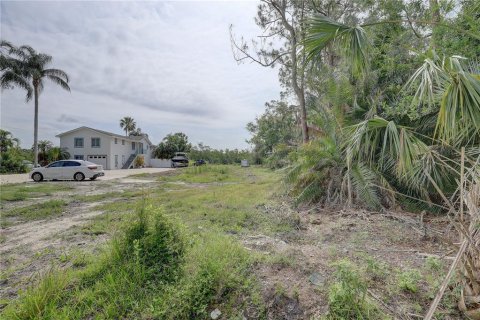 Terreno en venta en Tampa, Florida № 1689798 - foto 5