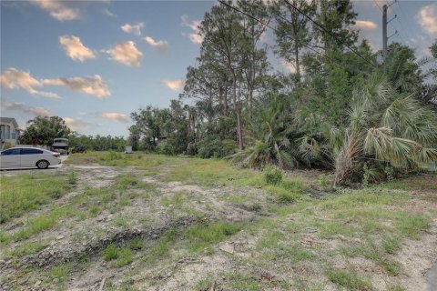 Terreno en venta en Tampa, Florida № 1689798 - foto 6