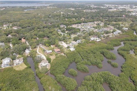 Terreno en venta en Tampa, Florida № 1689798 - foto 18