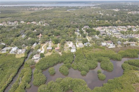 Terreno en venta en Tampa, Florida № 1689798 - foto 19