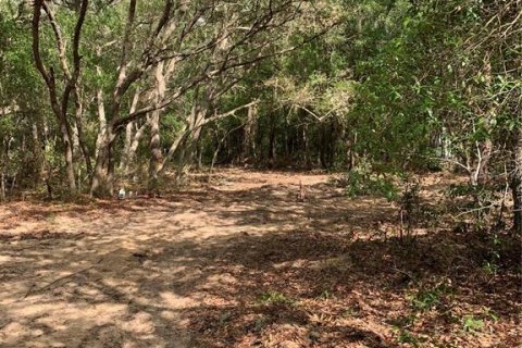Land in Interlachen, Florida № 2164062 - photo 3