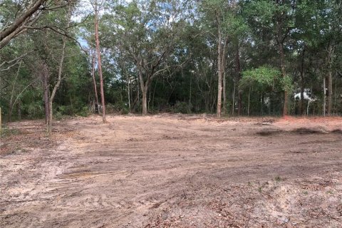 Land in Interlachen, Florida № 2164062 - photo 4