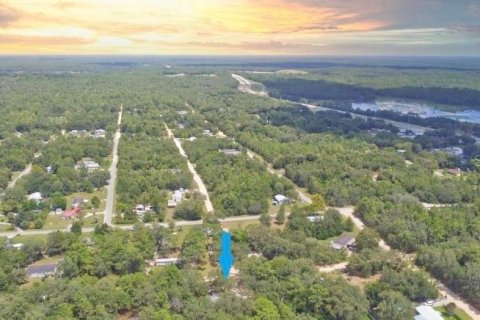 Terrain à Interlachen, Floride № 2164062