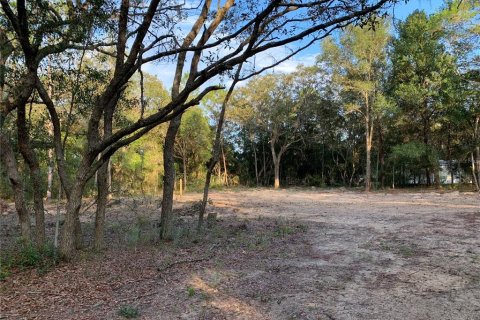 Land in Interlachen, Florida № 2164062 - photo 6