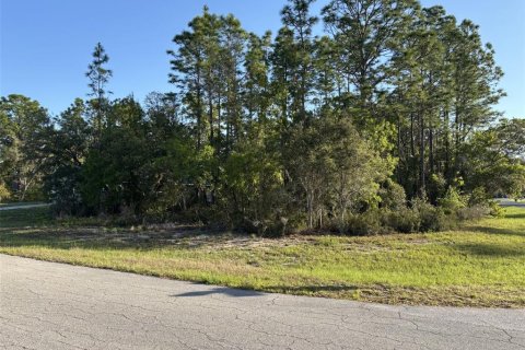 Land in Ocala, Florida № 1720941 - photo 1