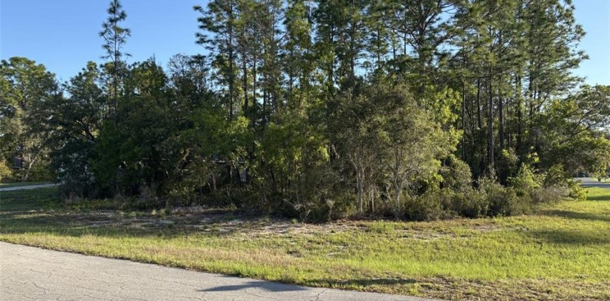 Land in Ocala, Florida № 1720941